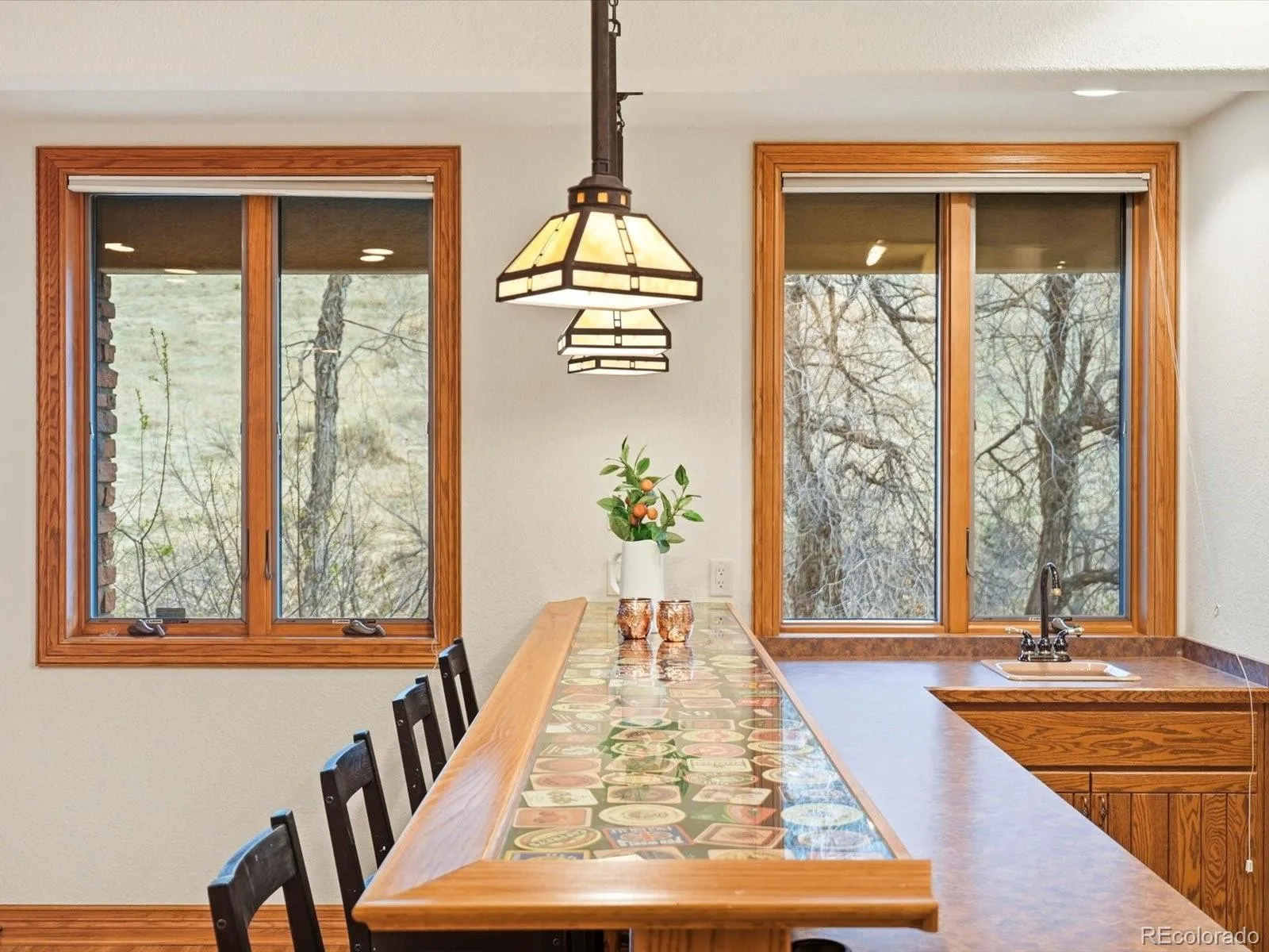 7144 Fox Paw Trail Littleton CO 80125 | MLS #REC4358827 07162026231221 1600 29