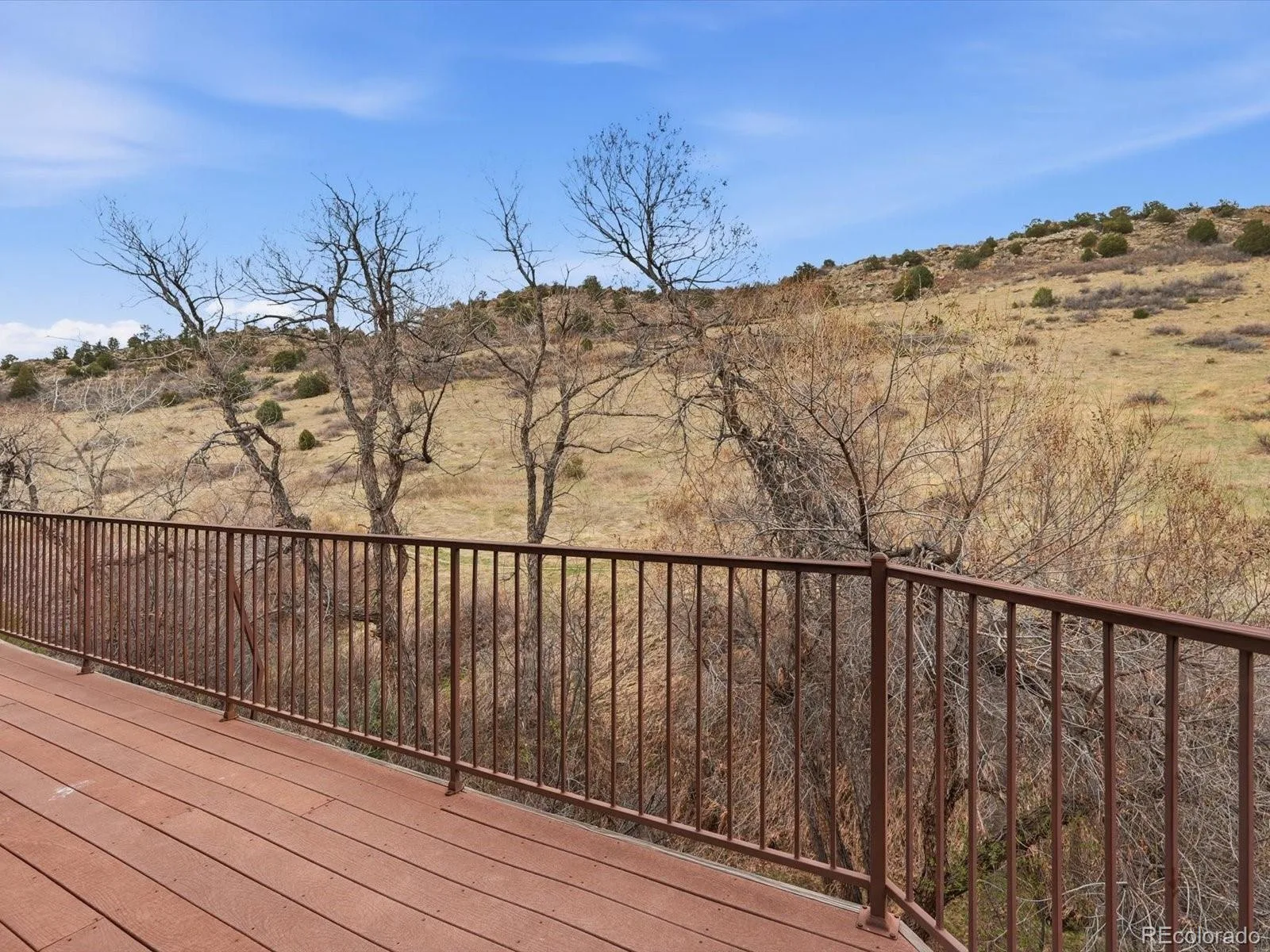 7144 Fox Paw Trail Littleton CO 80125 | MLS #REC4358827 07162026231221 1600 42