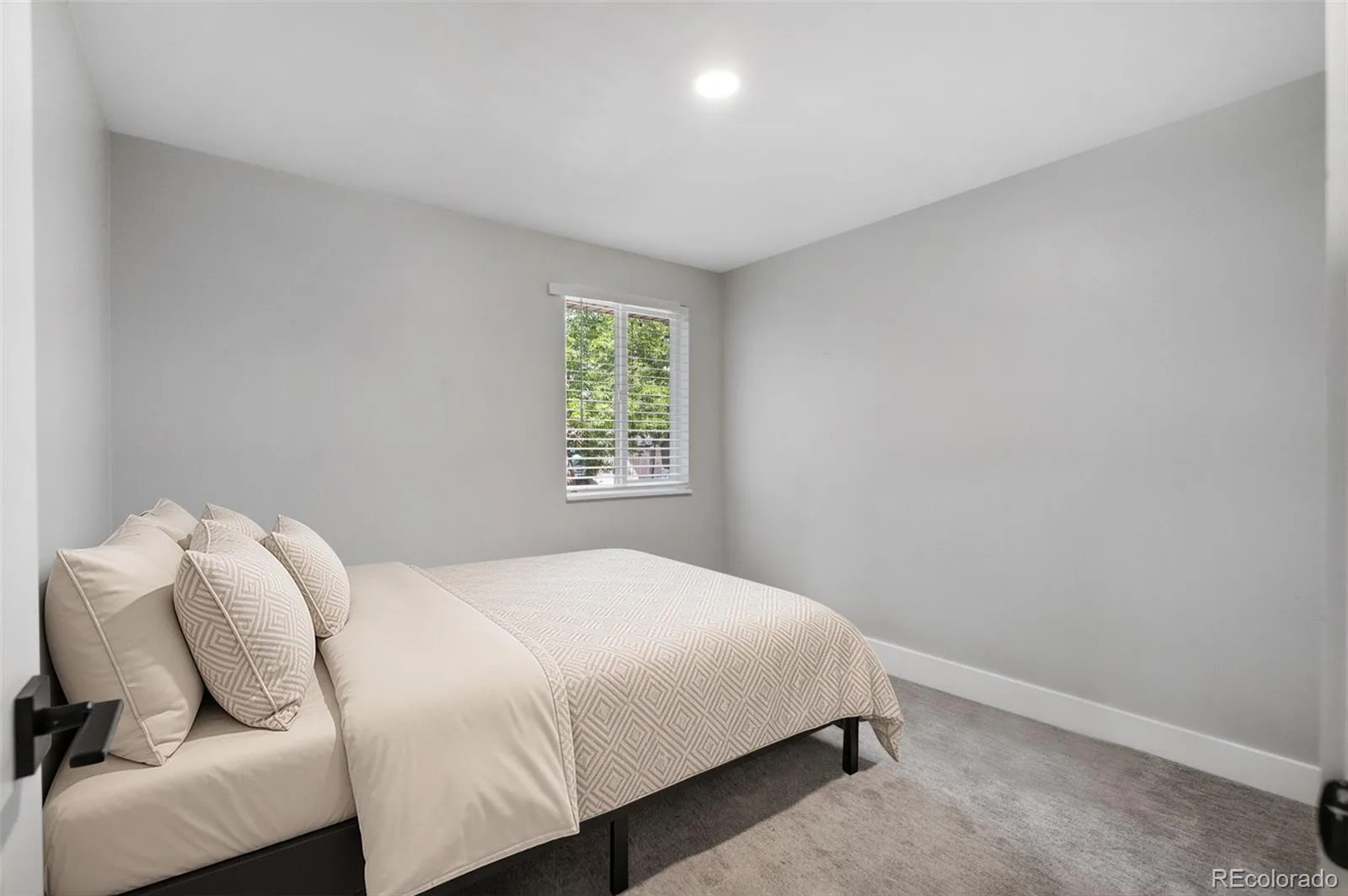 4234 W Radcliff Avenue Denver CO 80236 | MLS #REC4360702 09232026065627 1600 20