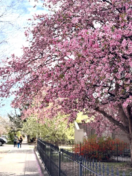 04072026162618 800 3