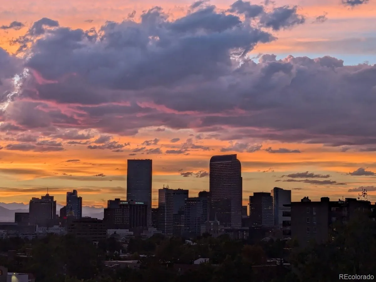 909 N Lafayette Street #503 Denver CO 80218 MLS #REC4372624 06092026002554 1200 0