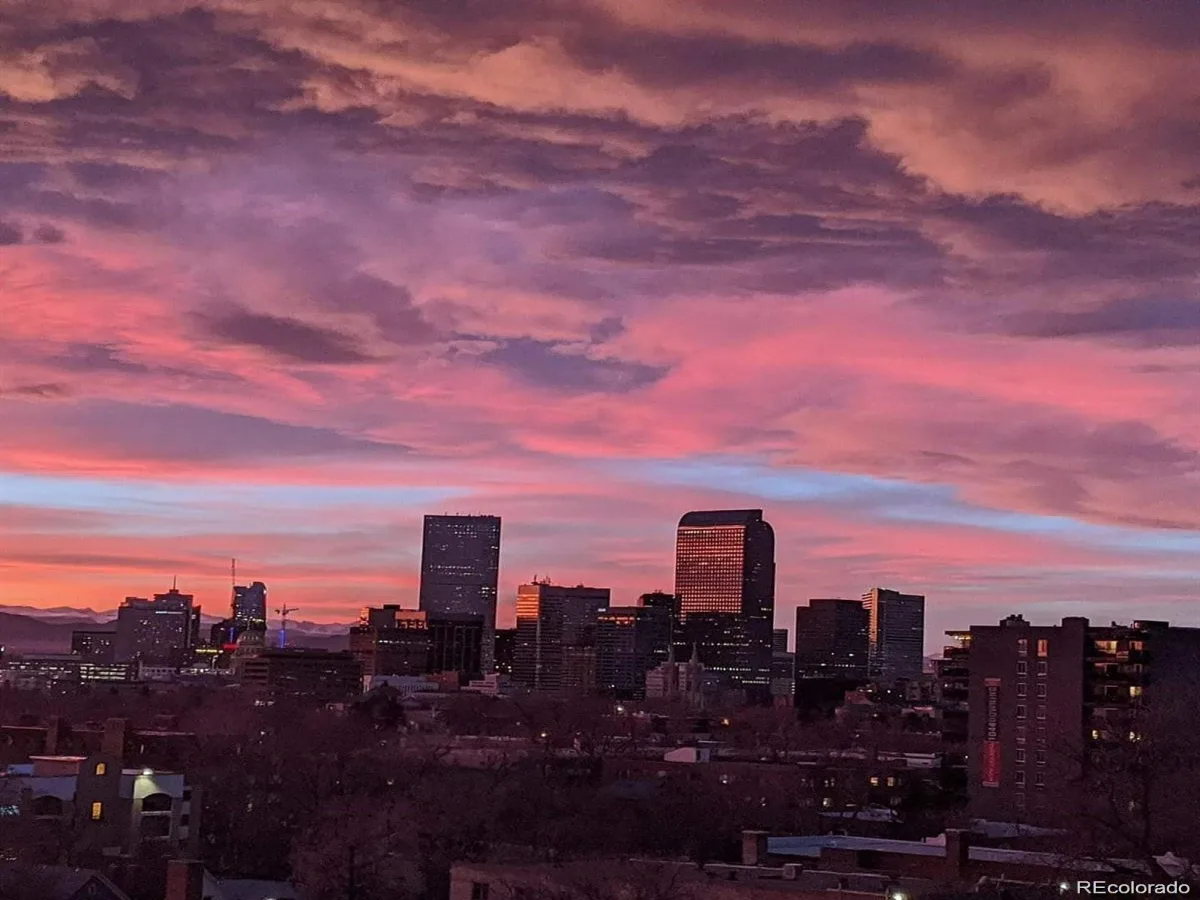909 N Lafayette Street #503 Denver CO 80218 MLS #REC4372624 06092026002554 1200 25
