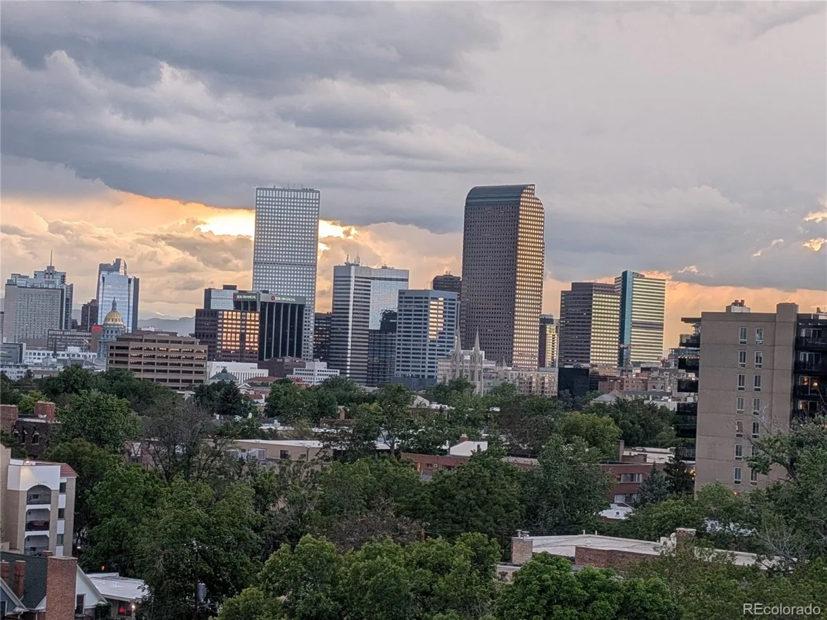 909 N Lafayette Street #503 Denver CO 80218 MLS #REC4372624 06092026002554 1200 27