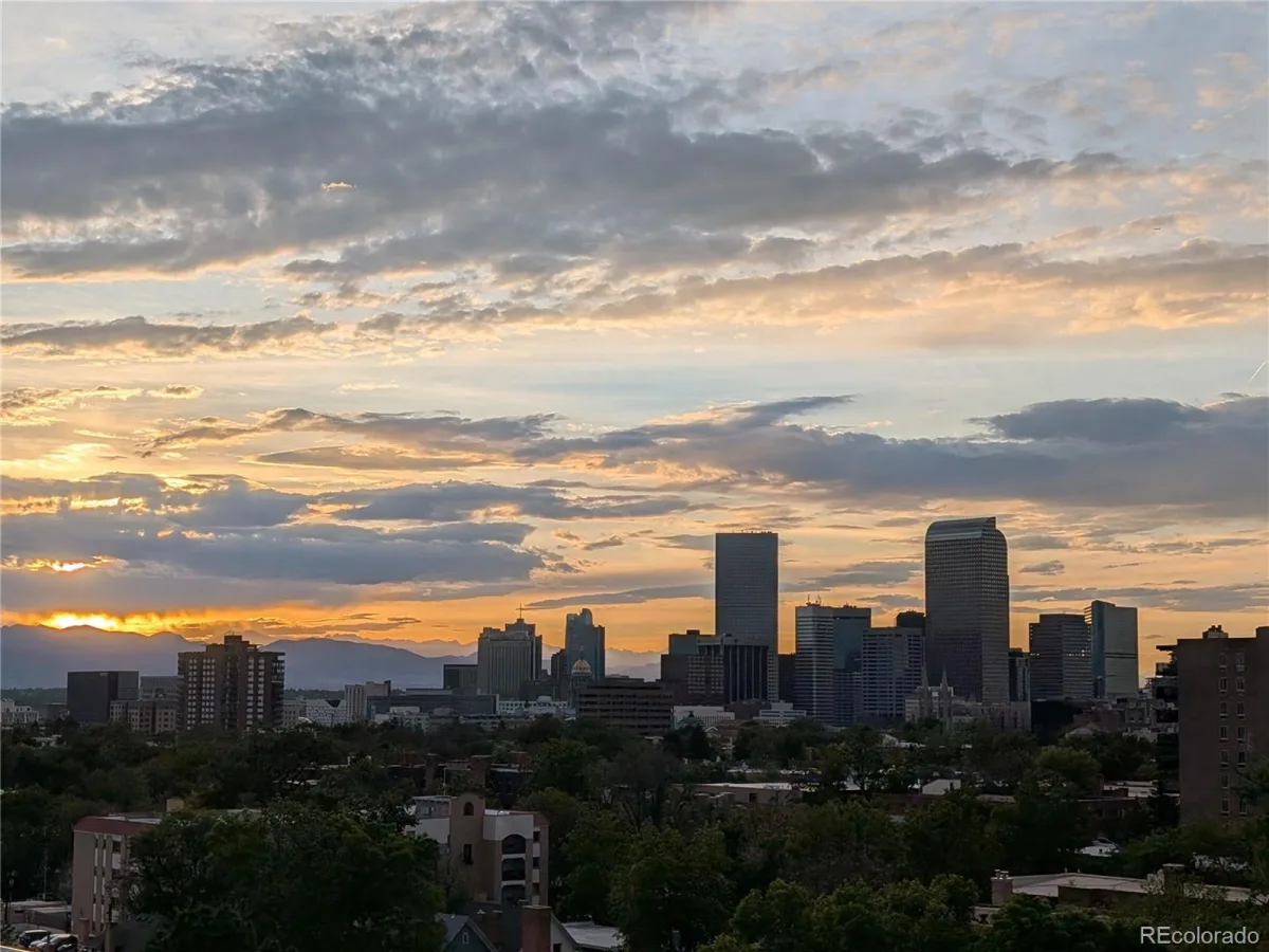909 N Lafayette Street #503 Denver CO 80218 MLS #REC4372624 06092026002554 1200 29