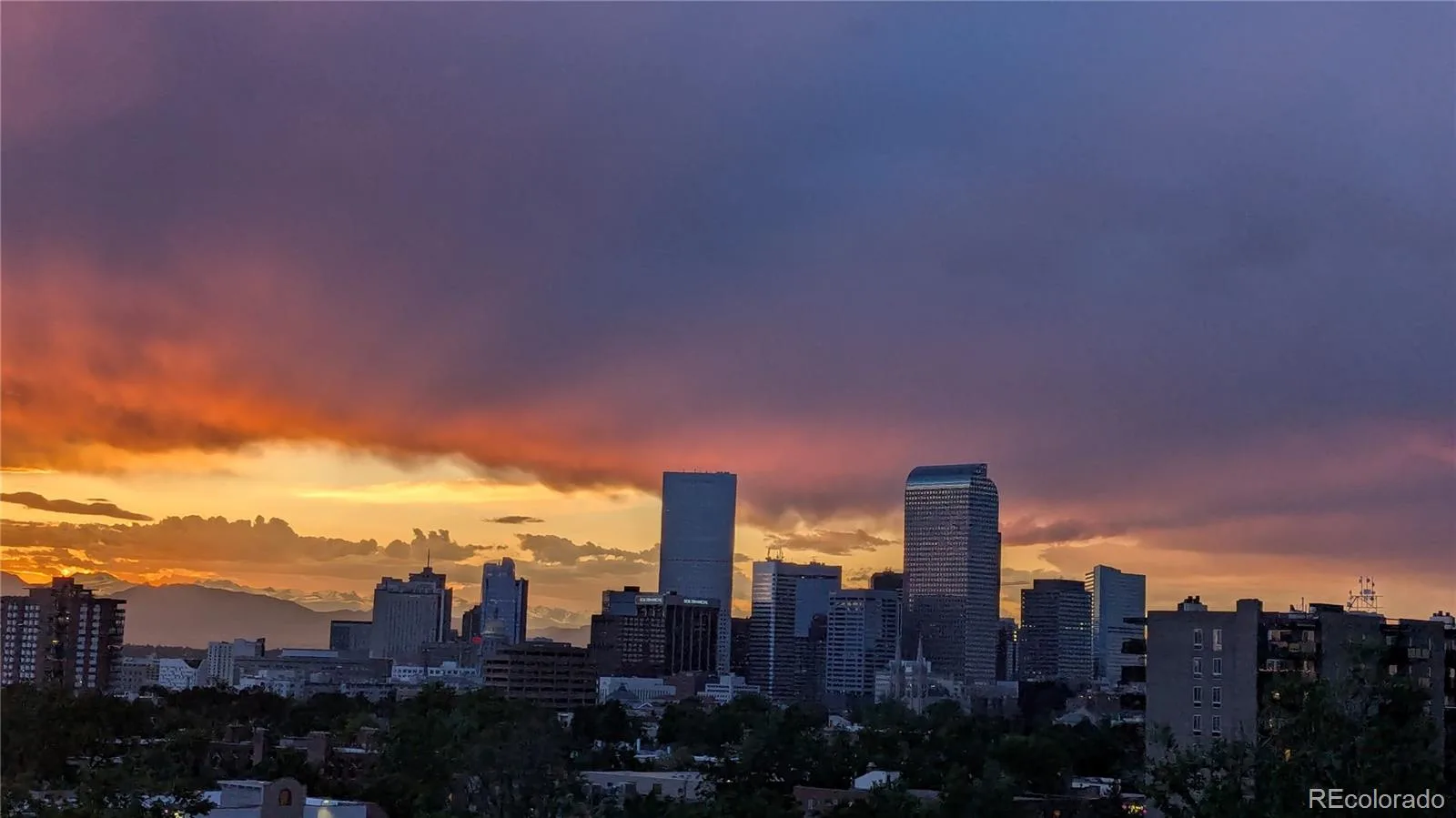909 N Lafayette Street #503 Denver CO 80218 MLS #REC4372624 06092026002554 1600 28
