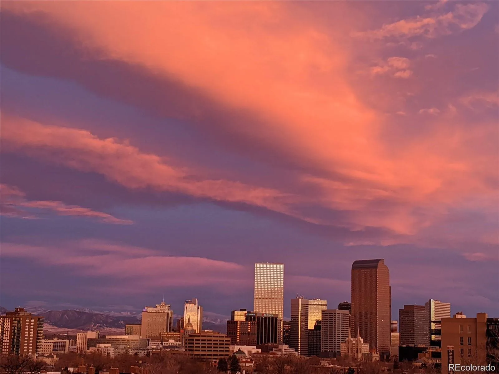 909 N Lafayette Street #503 Denver CO 80218 MLS #REC4372624 06092026002554 1600 30