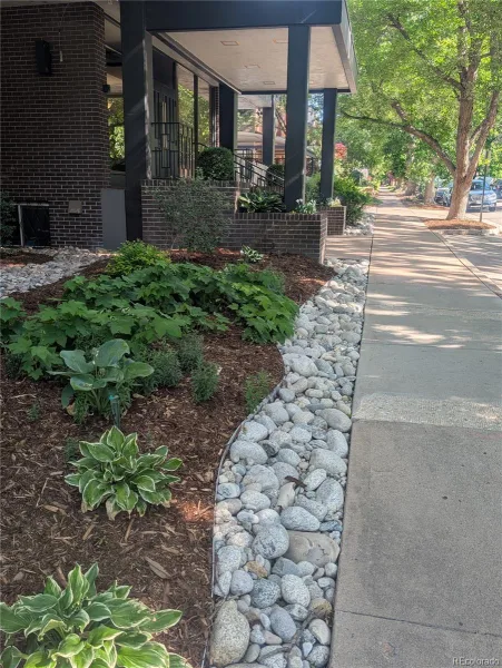 909 N Lafayette Street #503 Denver CO 80218 MLS #REC4372624 06092026002554 800 5