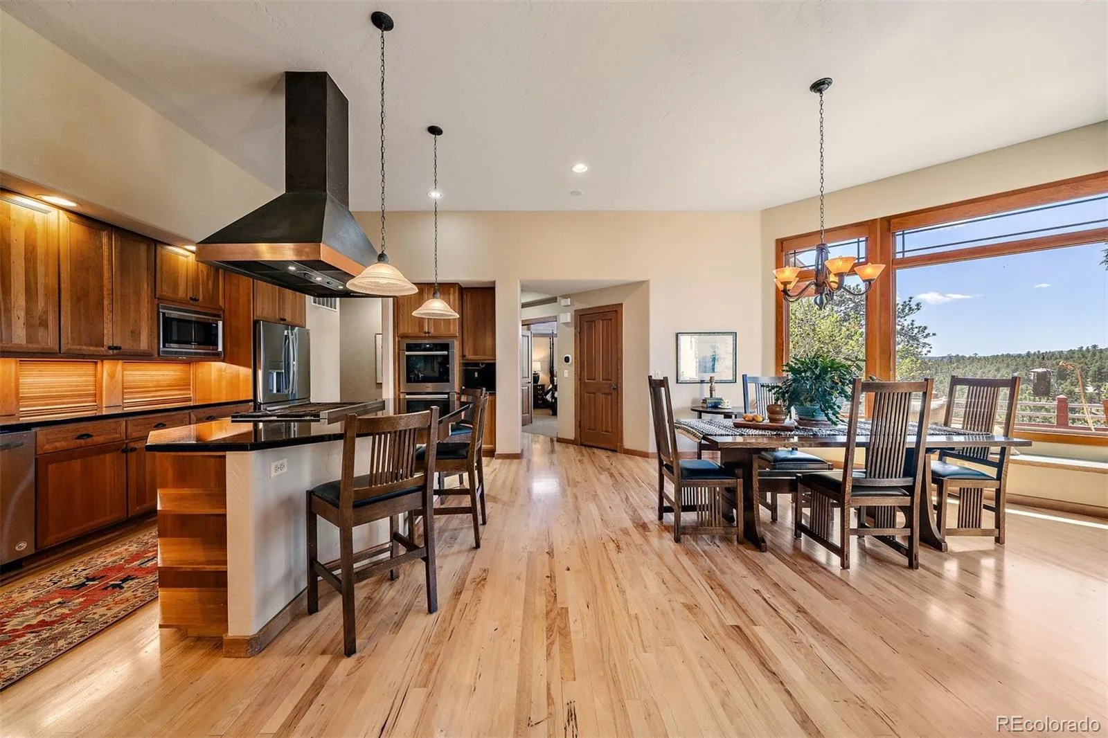 2924 Elk View Drive Evergreen CO 80439 | MLS #REC4373898 08032026184924 1600 10