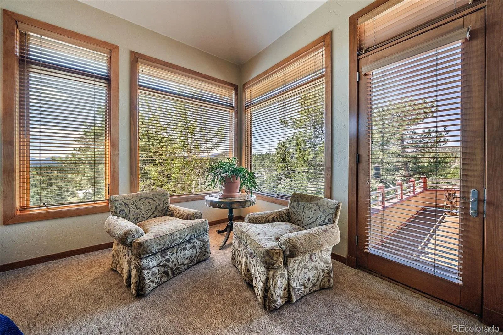 2924 Elk View Drive Evergreen CO 80439 | MLS #REC4373898 08032026184924 1600 19