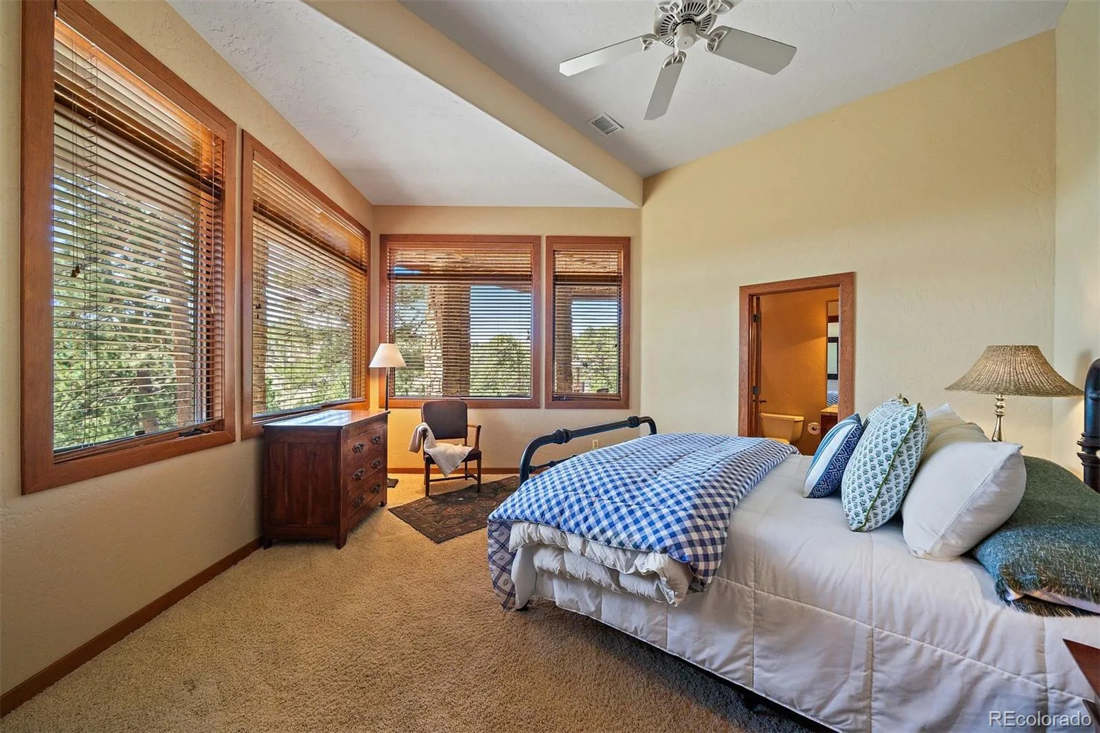 2924 Elk View Drive Evergreen CO 80439 | MLS #REC4373898 08032026184924 1600 38