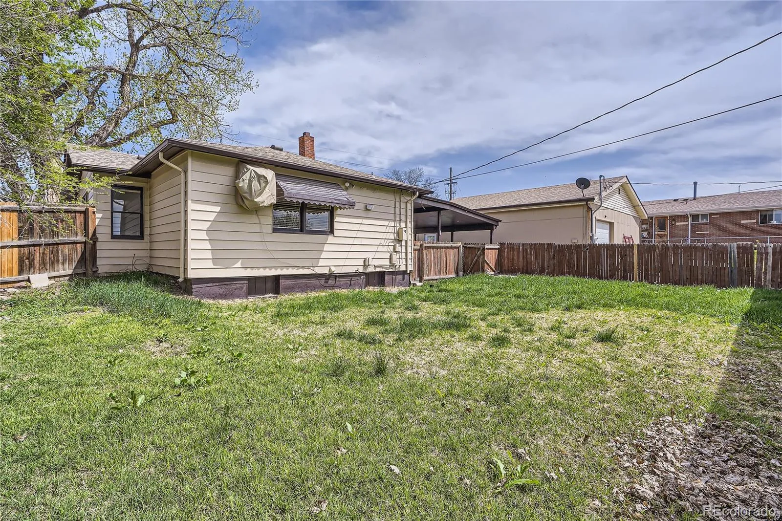 4835 Harlan Street Wheat Ridge CO 80033 MLS #REC4383531 05182026175143 1600 20