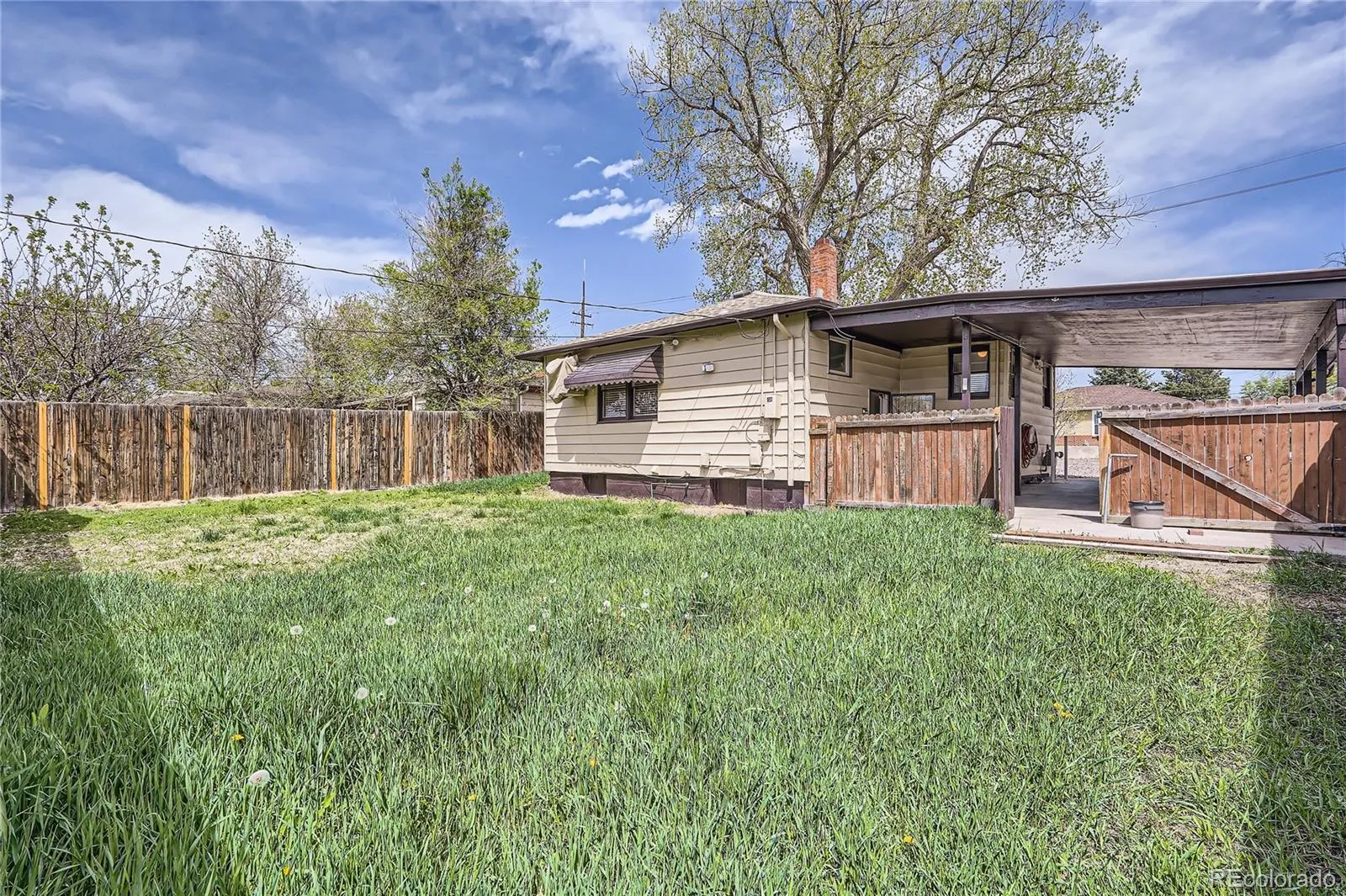 4835 Harlan Street Wheat Ridge CO 80033 MLS #REC4383531 05182026175143 1600 22