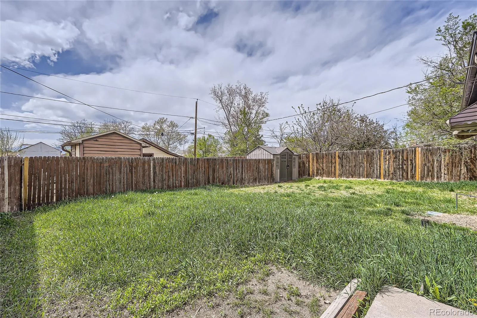 4835 Harlan Street Wheat Ridge CO 80033 MLS #REC4383531 05182026175143 1600 26