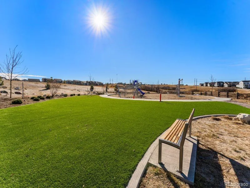 4063 Descent Street Castle Rock CO 80108 MLS #REC4386006 07302026195407 800 33