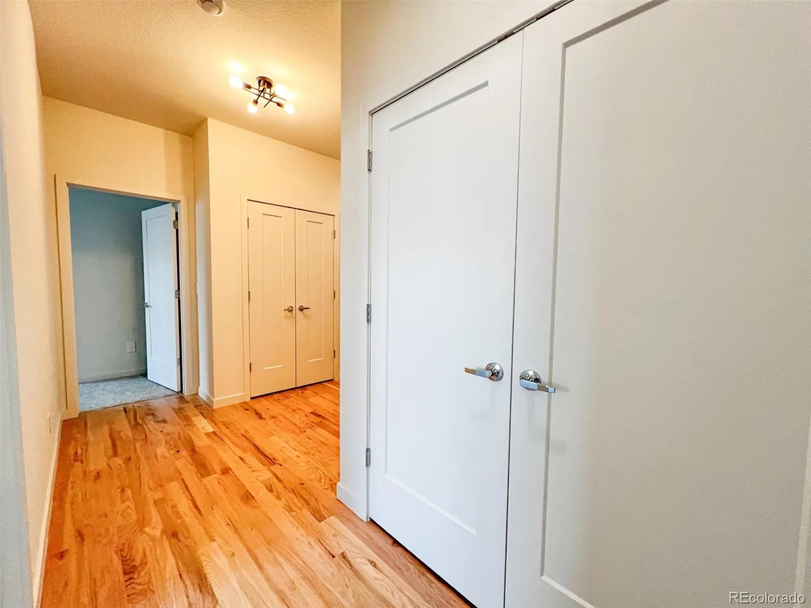3440 N Albion Street Denver CO 80207 | MLS #REC4392935 10042026024548 1600 19