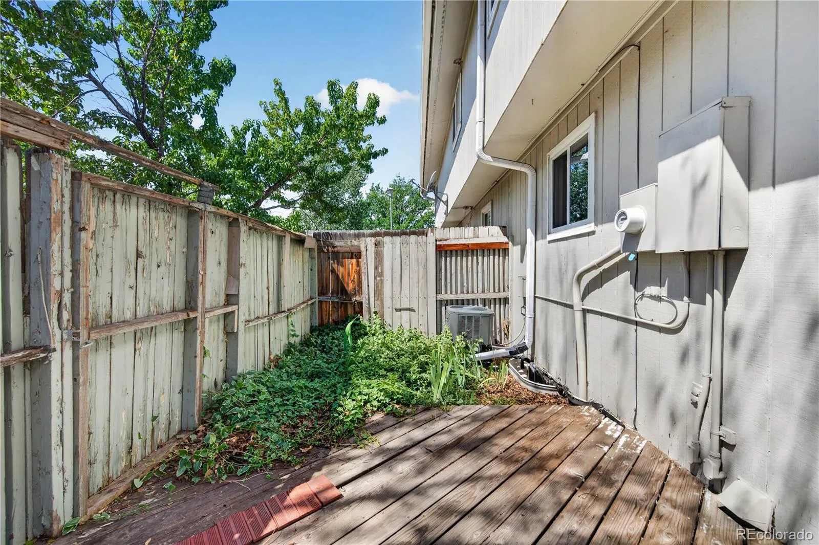 1264 S Reed Street #3 Denver CO 80232 | MLS #REC4398297 08262026170020 1600 26