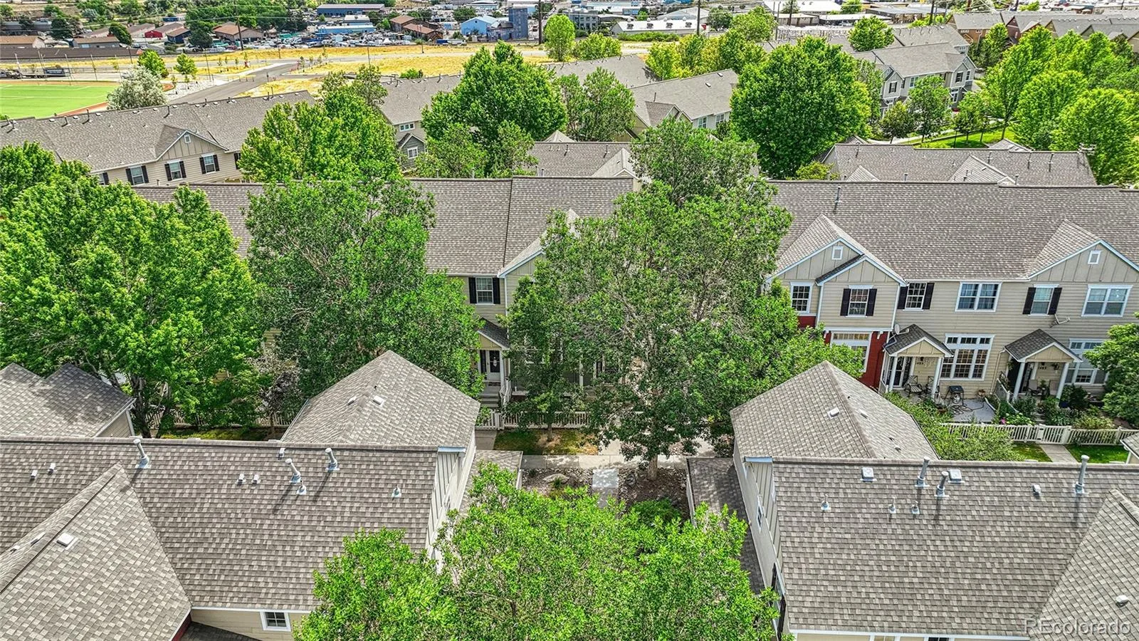 1489 Red Peak Drive Castle Rock CO 80109 | MLS #REC4405362 07152026074501 1600 24