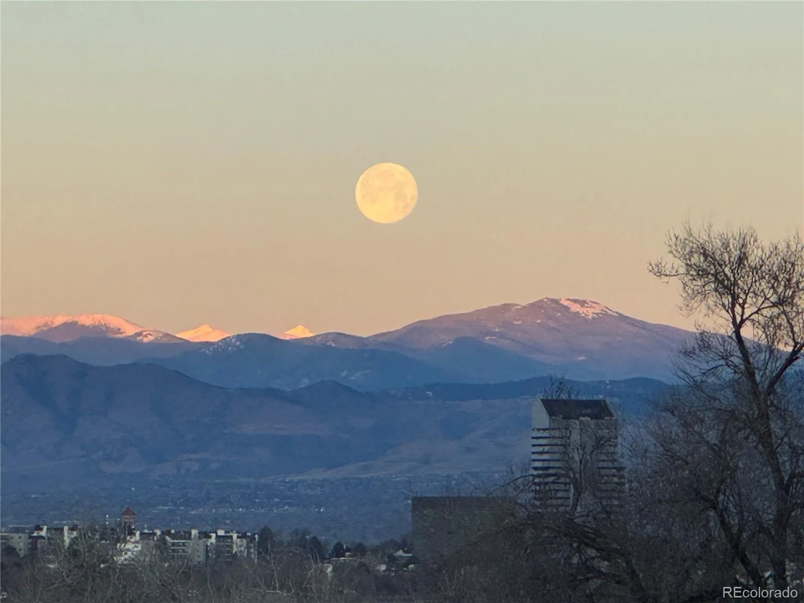 7877 E Mississippi Avenue #301 Denver CO 80247 MLS #REC4410052 07222026203728 1600 31