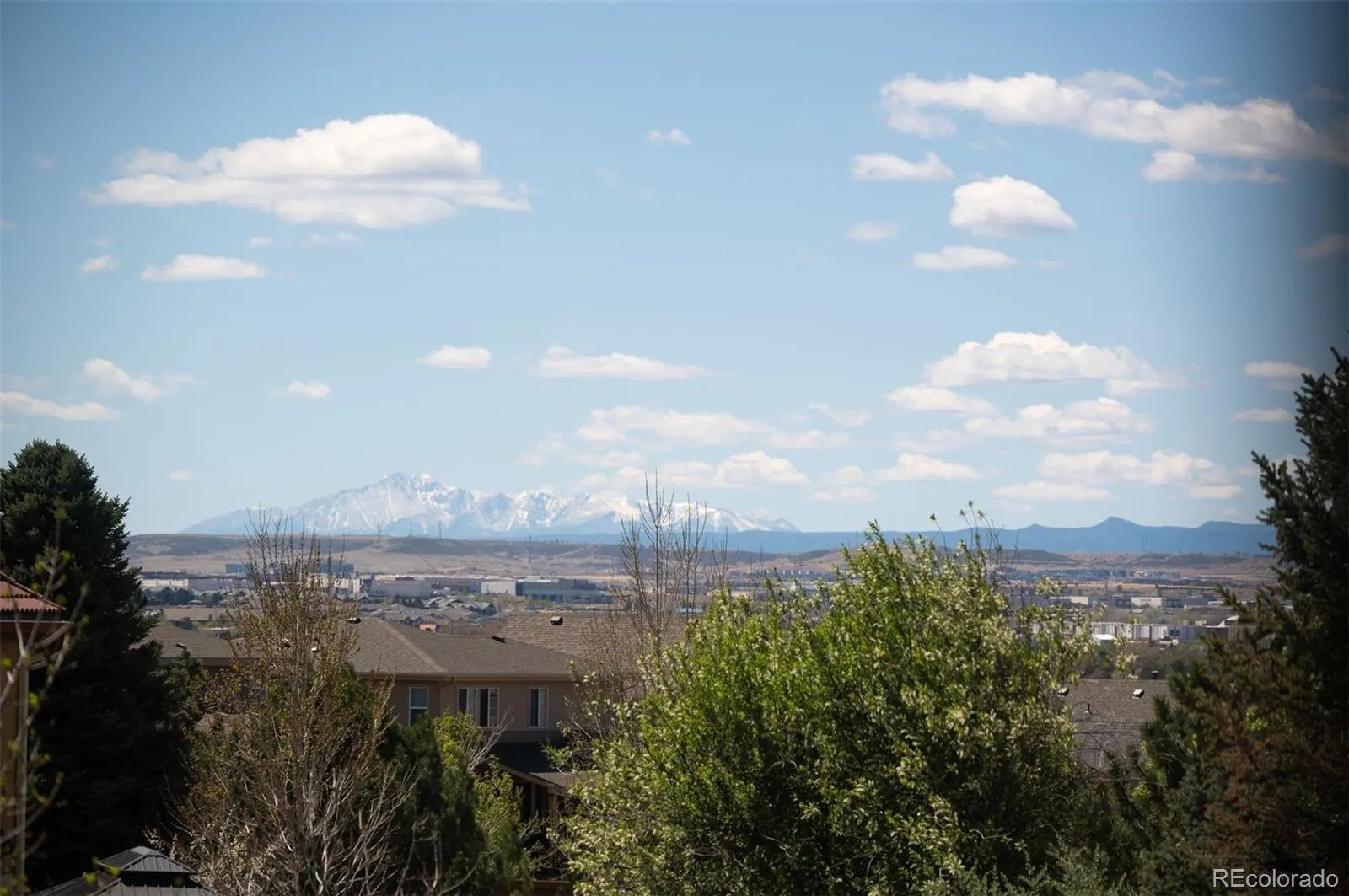 15408 E Crestline Place Centennial CO 80015 MLS #REC4421251 04172026222013 1600 4