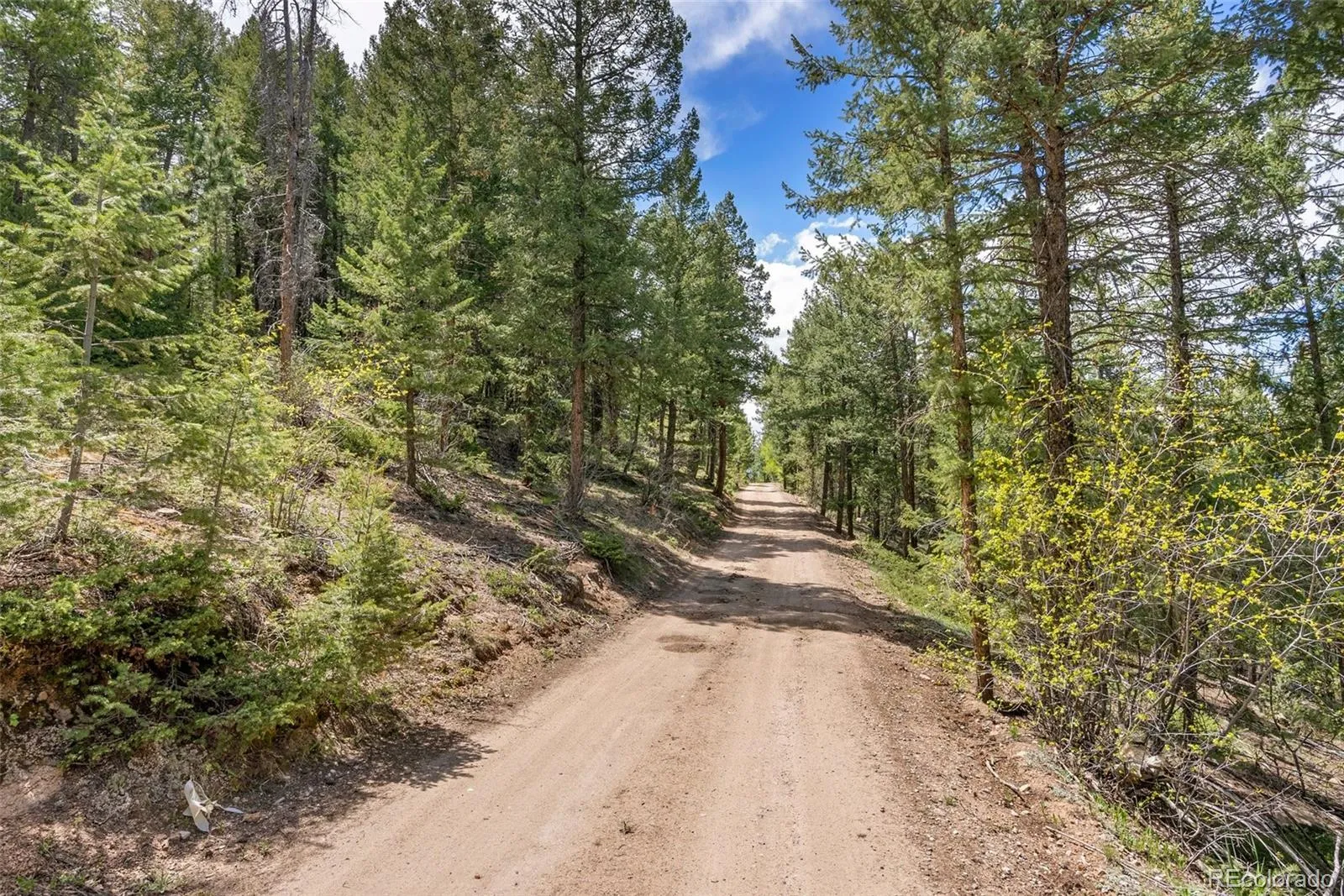Lost Cabin Trail Evergreen CO 80439 | MLS #REC4424617 04162026081808 1600 11