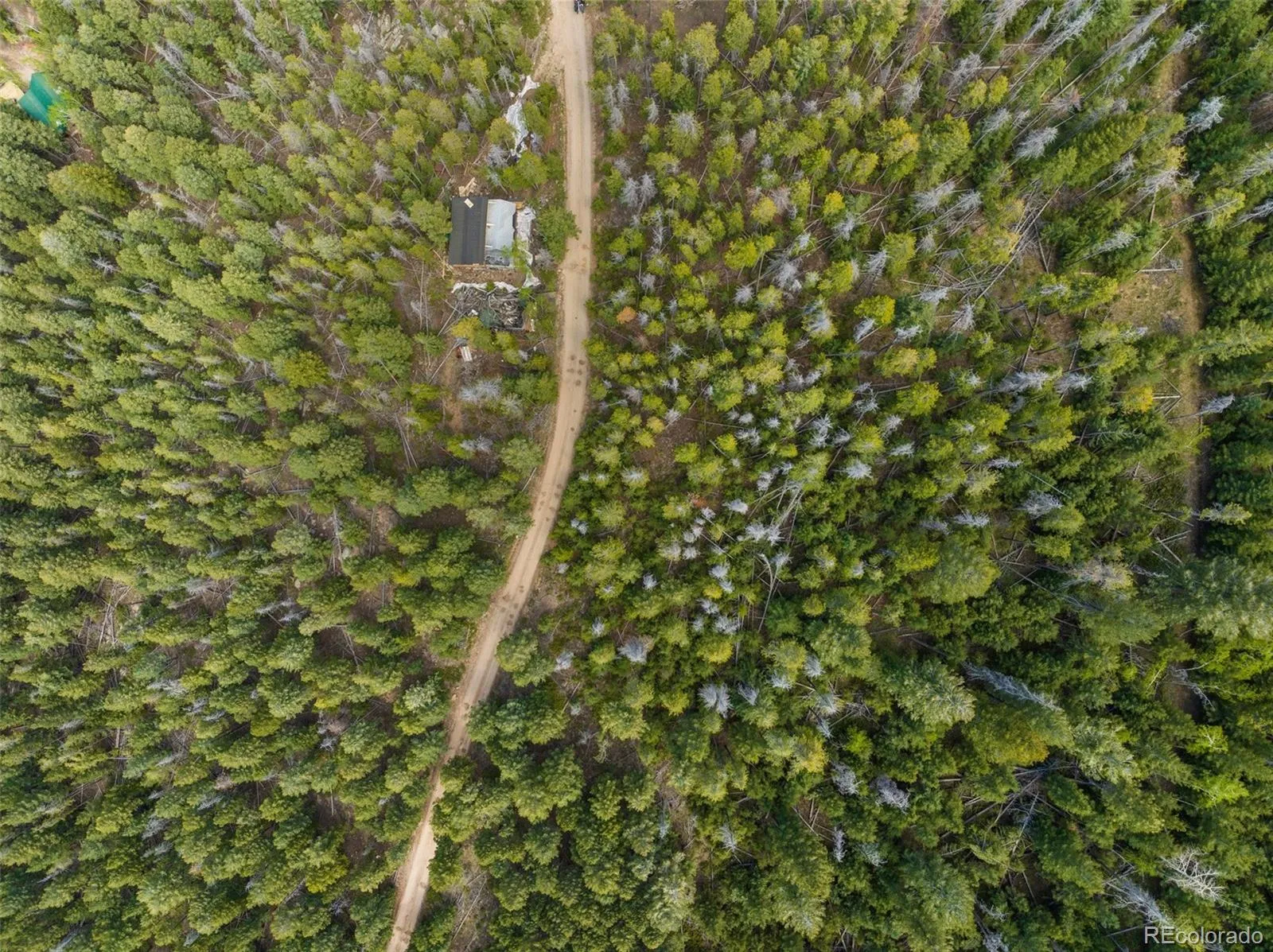 Lost Cabin Trail Evergreen CO 80439 | MLS #REC4424617 04162026081808 1600 13