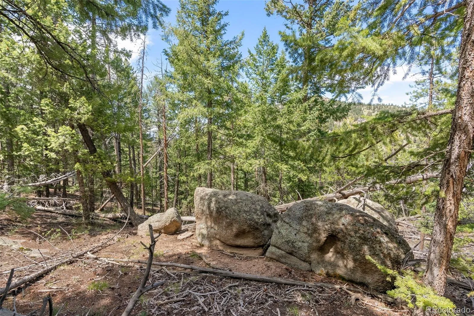Lost Cabin Trail Evergreen CO 80439 | MLS #REC4424617 04162026081808 1600 5