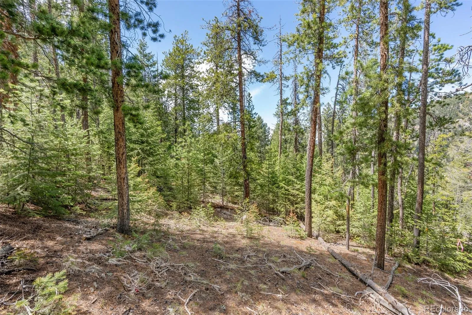 Lost Cabin Trail Evergreen CO 80439 | MLS #REC4424617 04162026081808 1600 6