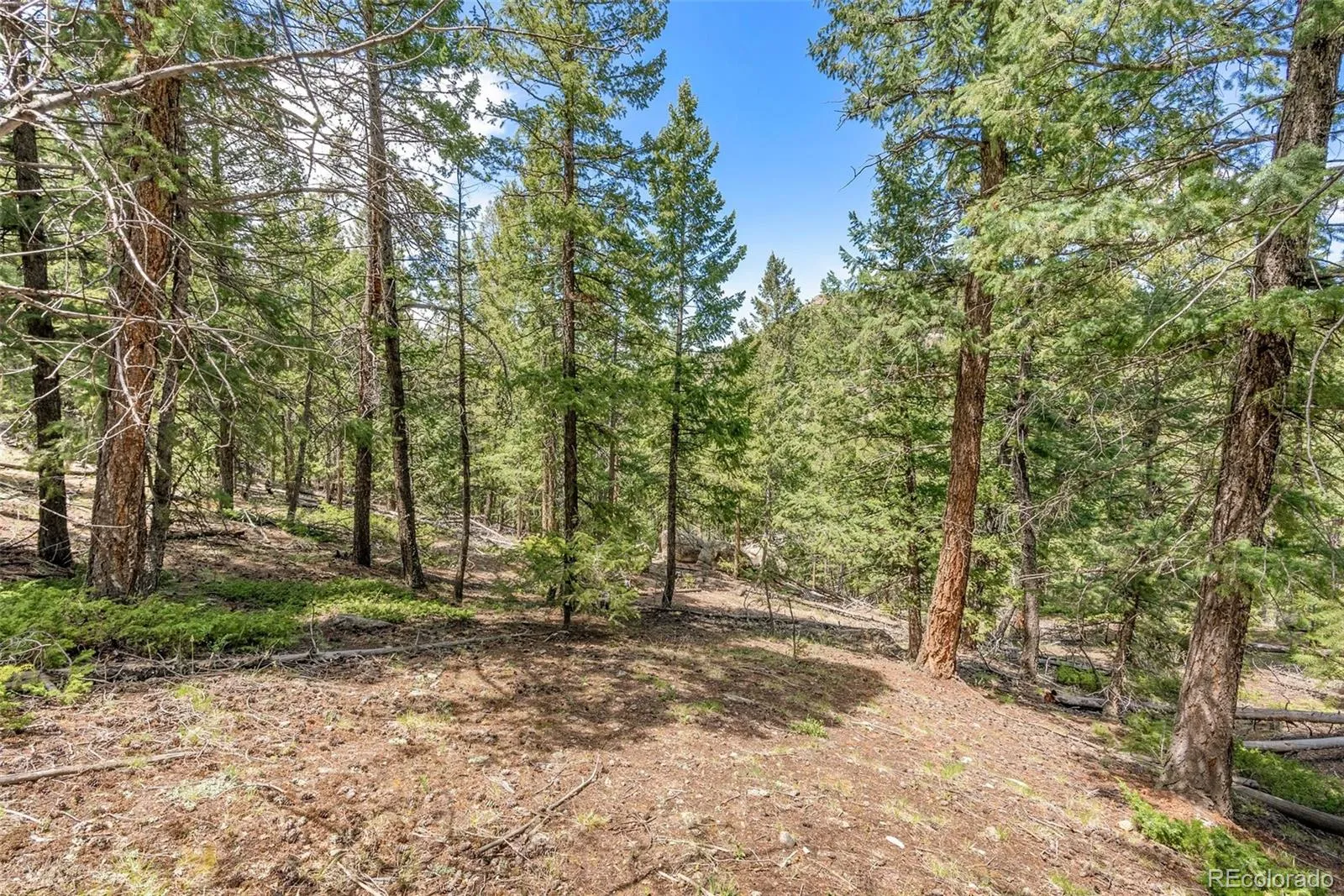 Lost Cabin Trail Evergreen CO 80439 | MLS #REC4424617 04162026081808 1600 8