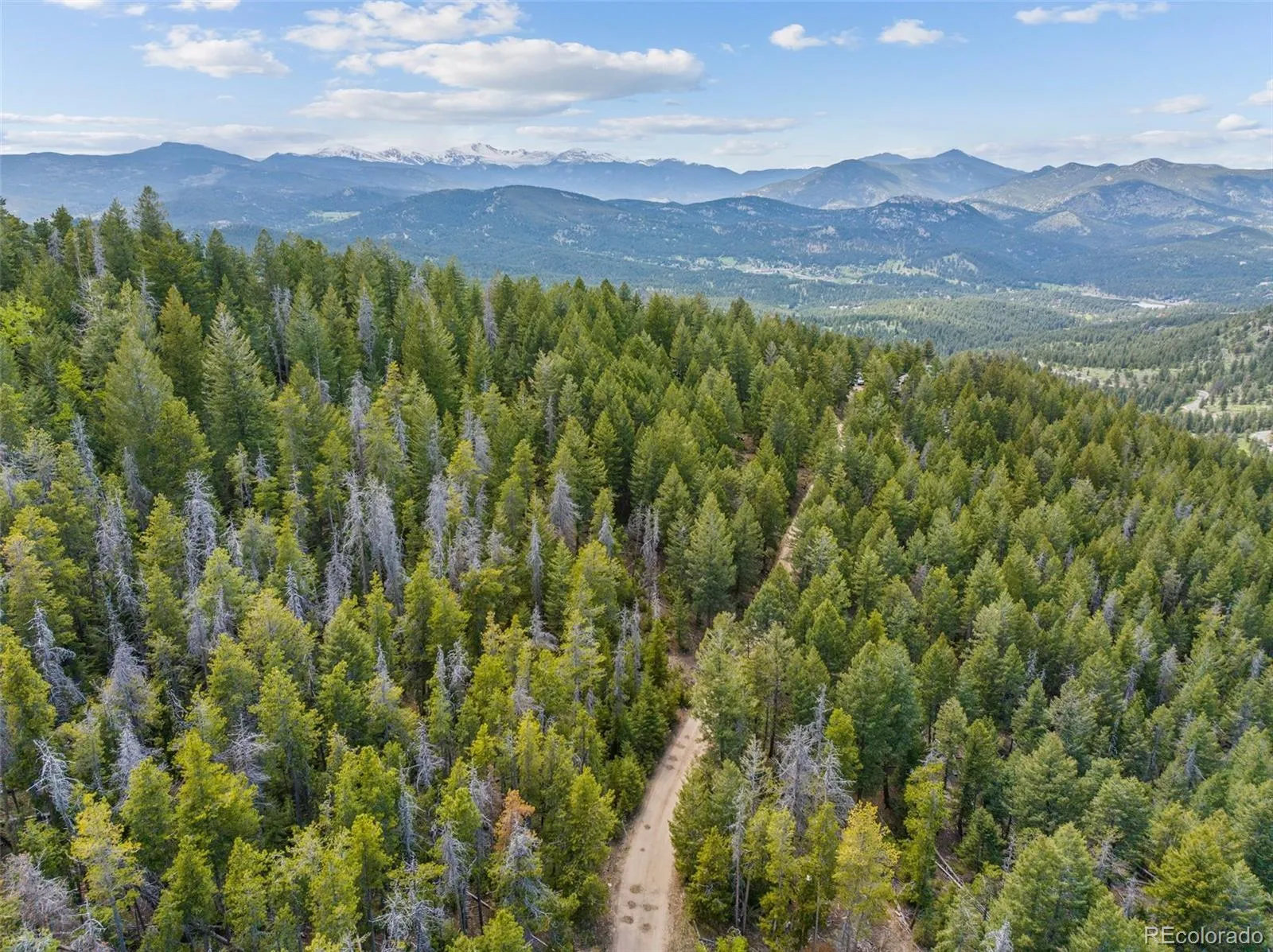 Lost Cabin Trail Evergreen CO 80439 | MLS #REC4424617 04162026081808 1600 9