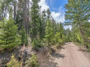 Lost Cabin Trail Evergreen CO 80439 | MLS #REC4424617 04162026081808 300 0