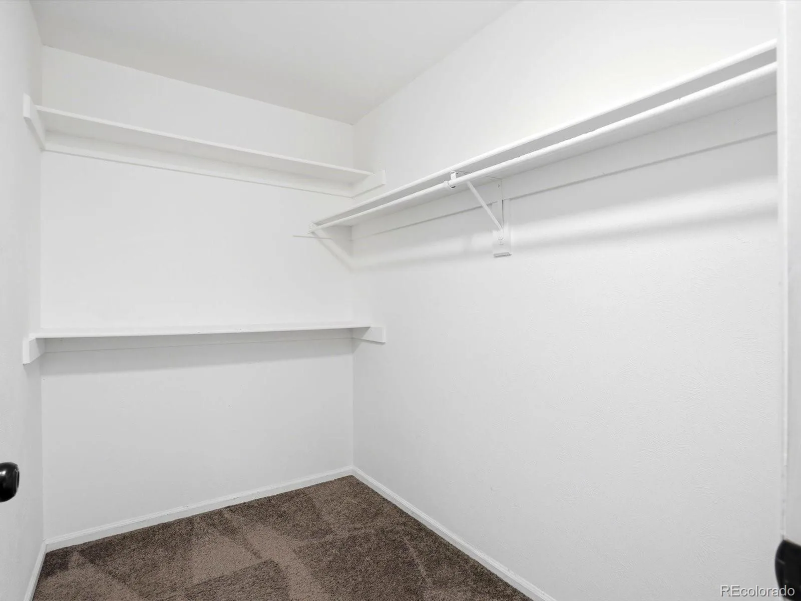 10176 Quivas Street Thornton CO 80260 | MLS #REC4430105 07312026150232 1600 16