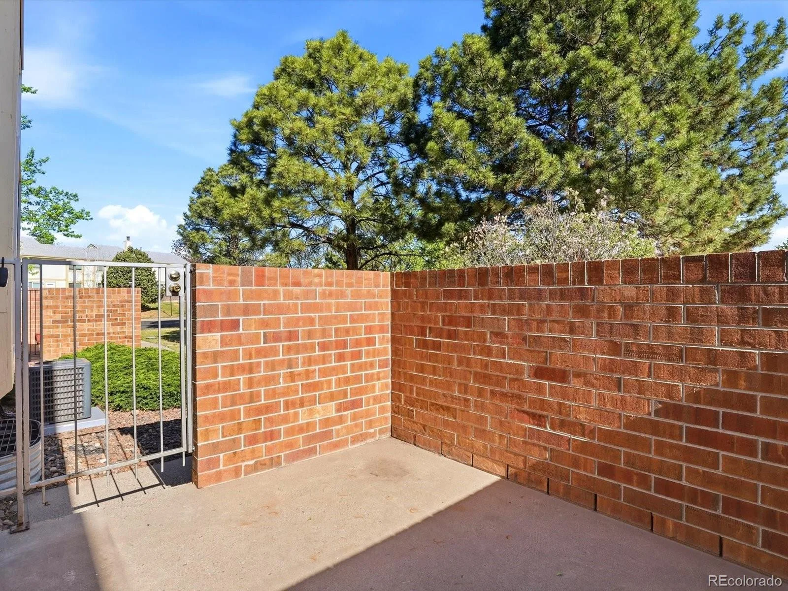10176 Quivas Street Thornton CO 80260 | MLS #REC4430105 07312026150232 1600 35