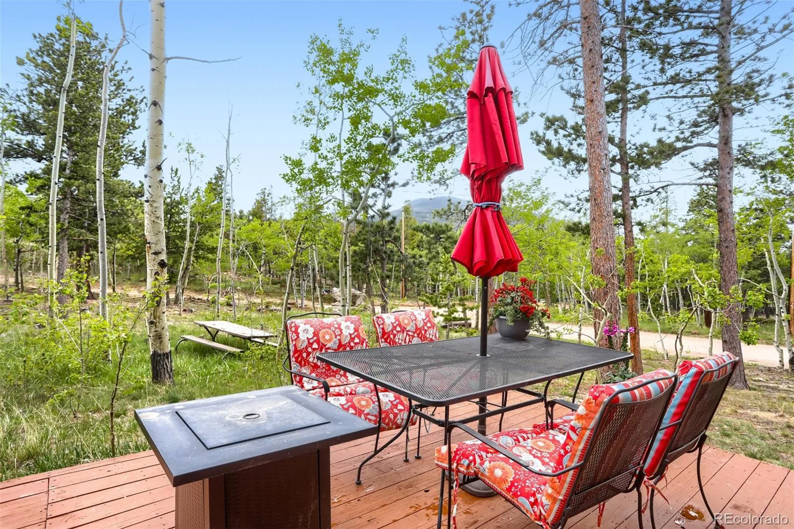 2 Debra Ann Road Golden CO 80403 | MLS #REC4441609 06292026154725 1600 25