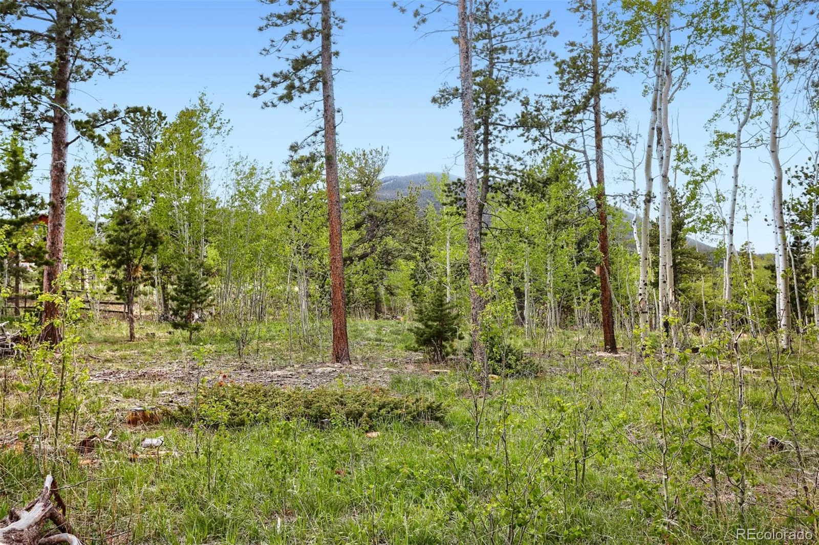 2 Debra Ann Road Golden CO 80403 | MLS #REC4441609 06292026154725 1600 27