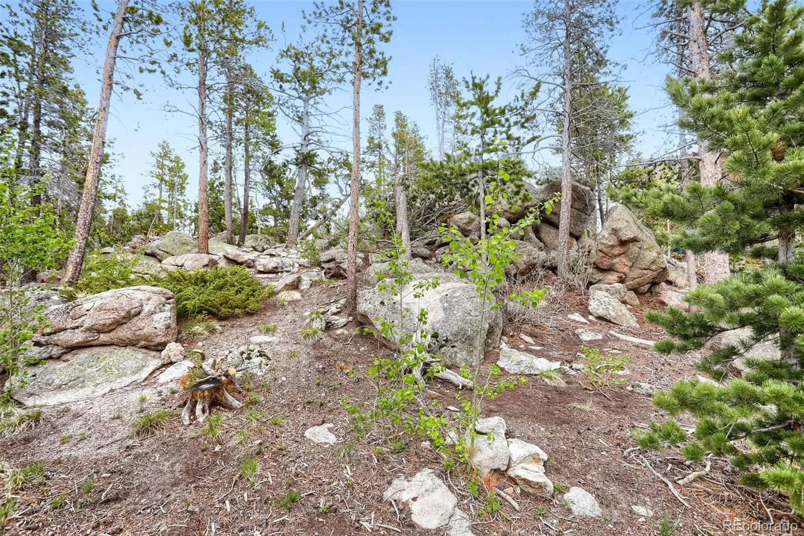 2 Debra Ann Road Golden CO 80403 | MLS #REC4441609 06292026154725 1600 29