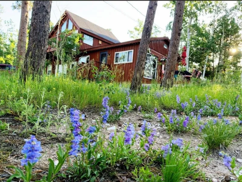 2 Debra Ann Road Golden CO 80403 | MLS #REC4441609 06292026154725 800 35