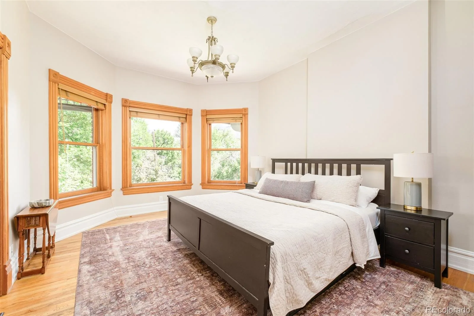 1629 N Ogden Street Denver CO 80218 MLS #REC4451698 06092026202857 1600 31