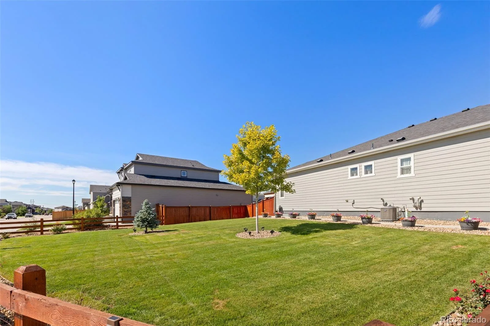 11955 Olive Street Denver CO 80233 | MLS #REC4453799 08192026203527 1600 39