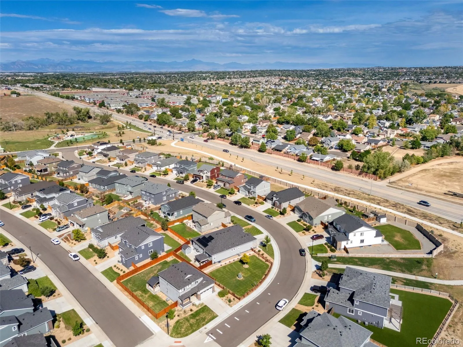 11955 Olive Street Denver CO 80233 | MLS #REC4453799 08192026203527 1600 44