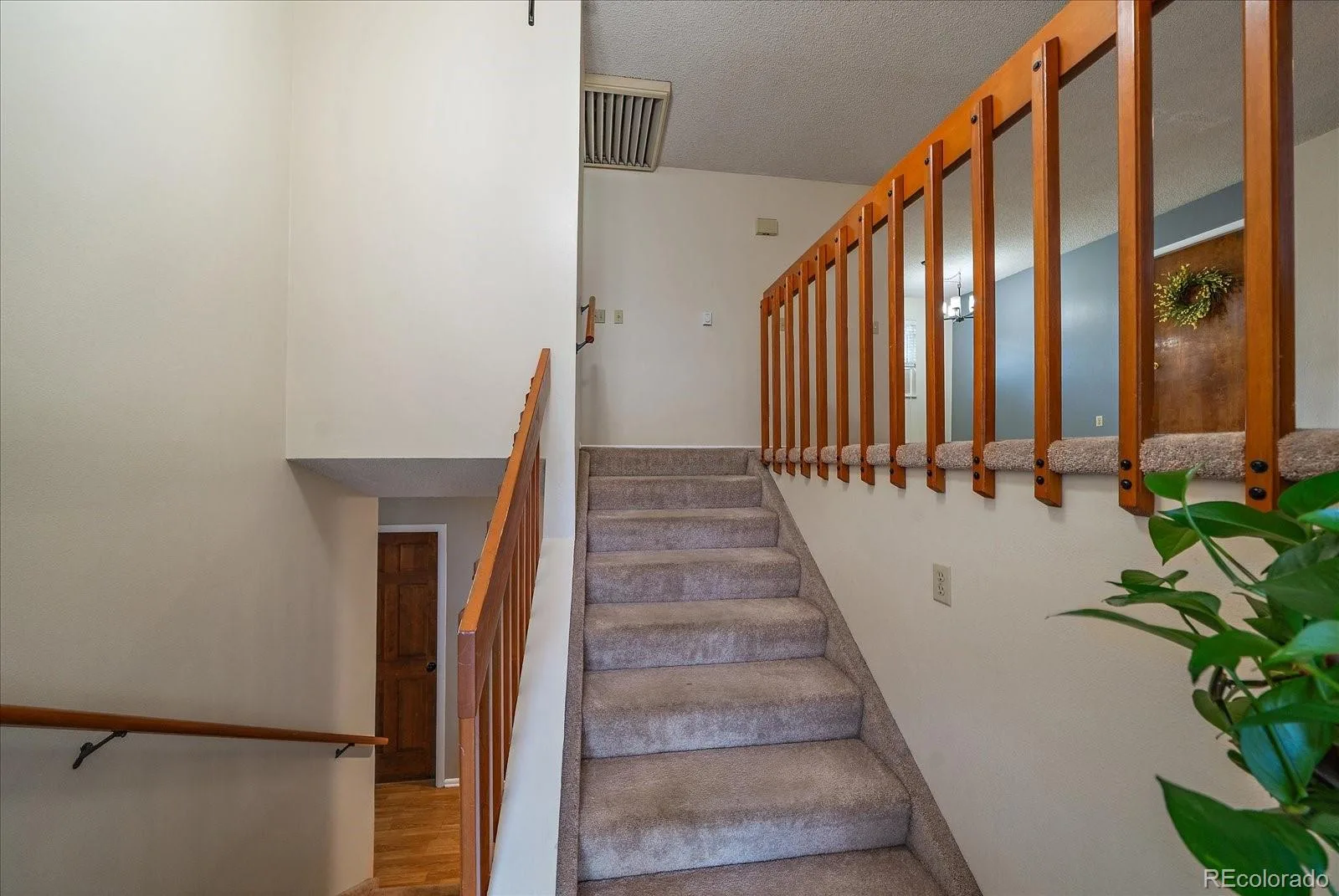 967 Mountain View Drive Castle Rock CO 80104 | MLS #REC4454650 07282026174235 1600 3