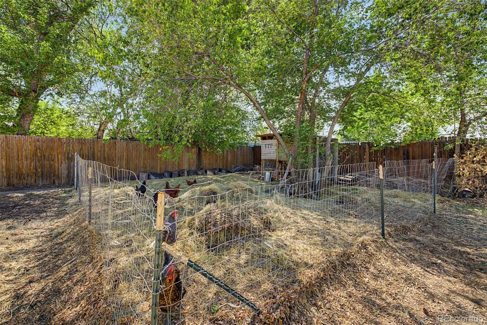 04222026183725 1600 36