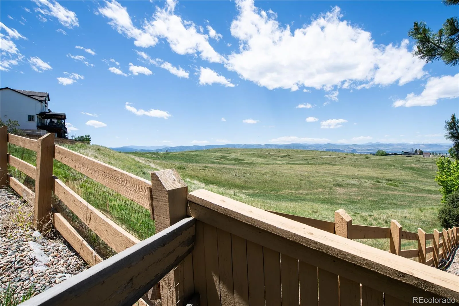 2550 Shadecrest Place Highlands Ranch CO 80126 MLS #REC4455781 06122026142718 1600 45