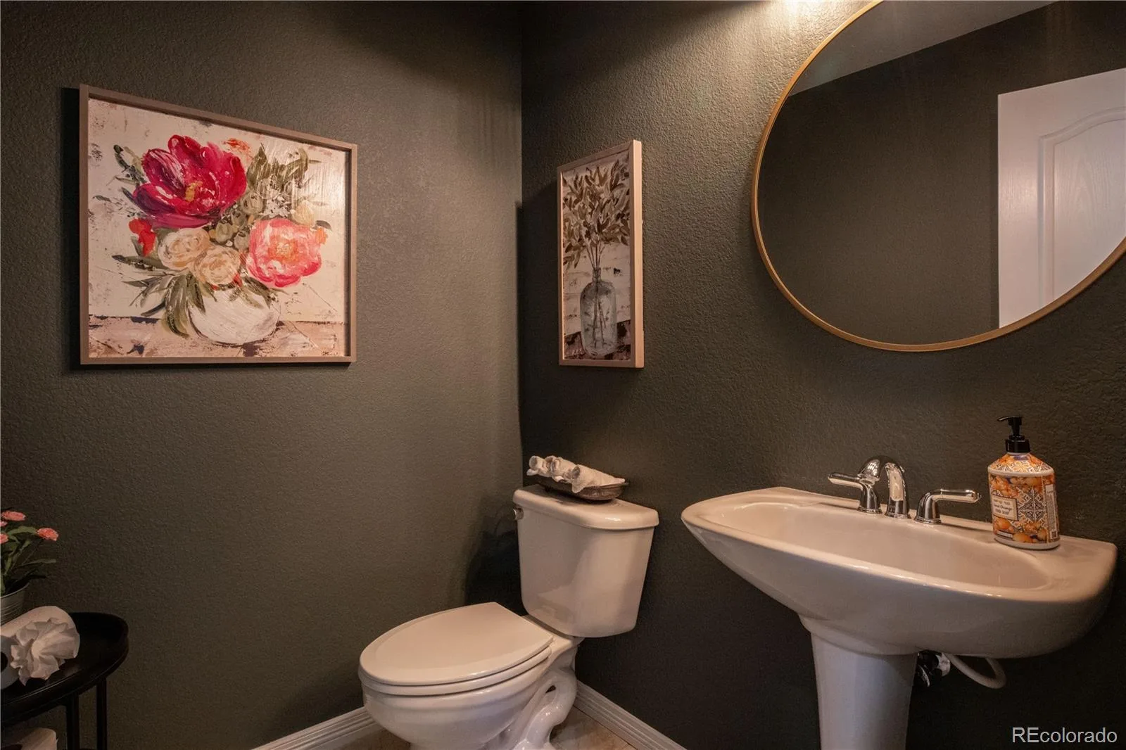2550 Shadecrest Place Highlands Ranch CO 80126 MLS #REC4455781 06122026142718 1600 7