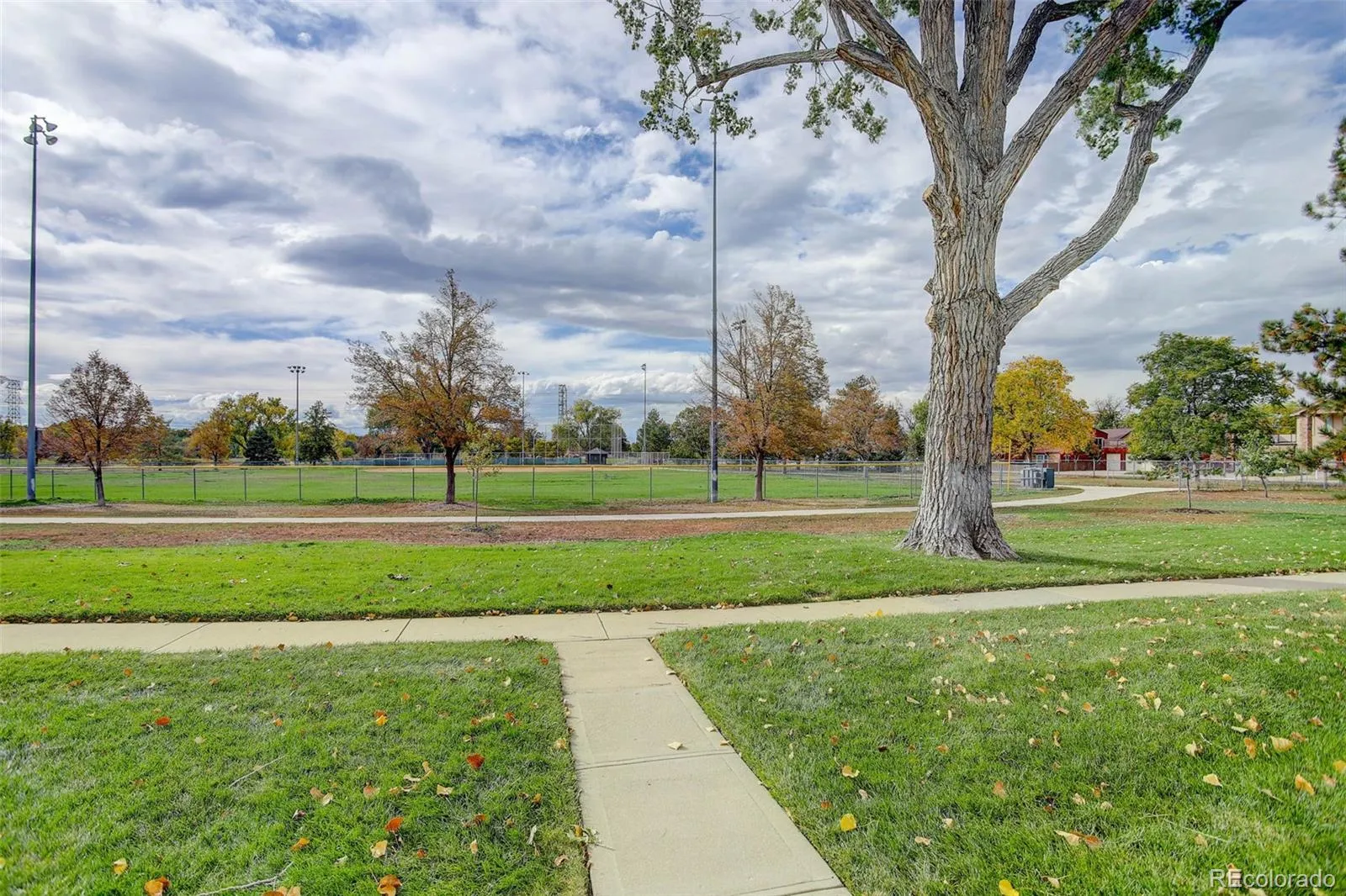 6340 E Mississippi Avenue Denver CO 80224 MLS #REC4457070 04222026170750 1600 33