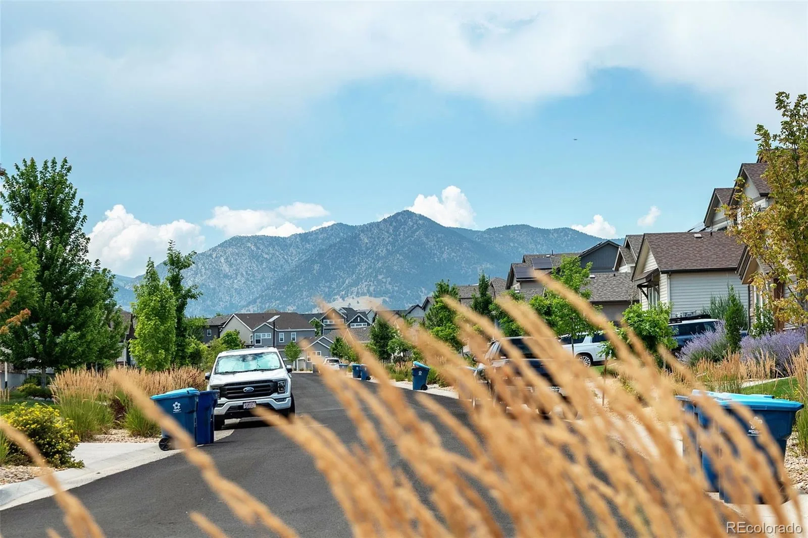 9352 Yucca Way Arvada CO 80007 | MLS #REC4459985 07302026195810 1600 6
