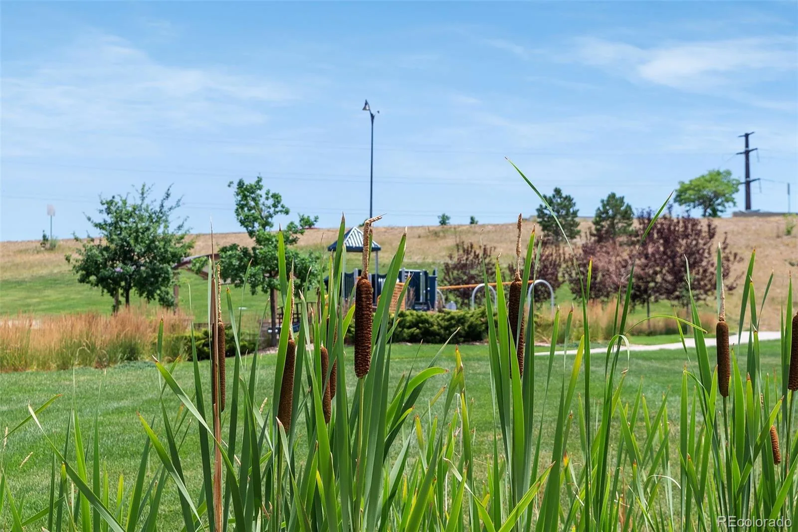 9352 Yucca Way Arvada CO 80007 | MLS #REC4459985 07302026195810 1600 7
