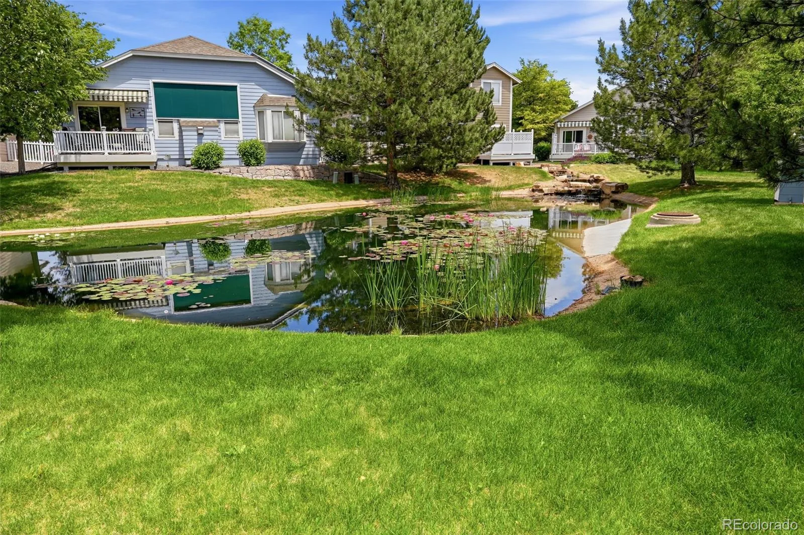 13679 W 62nd Drive Arvada CO 80004 MLS #REC4461097 06092026163518 1600 1