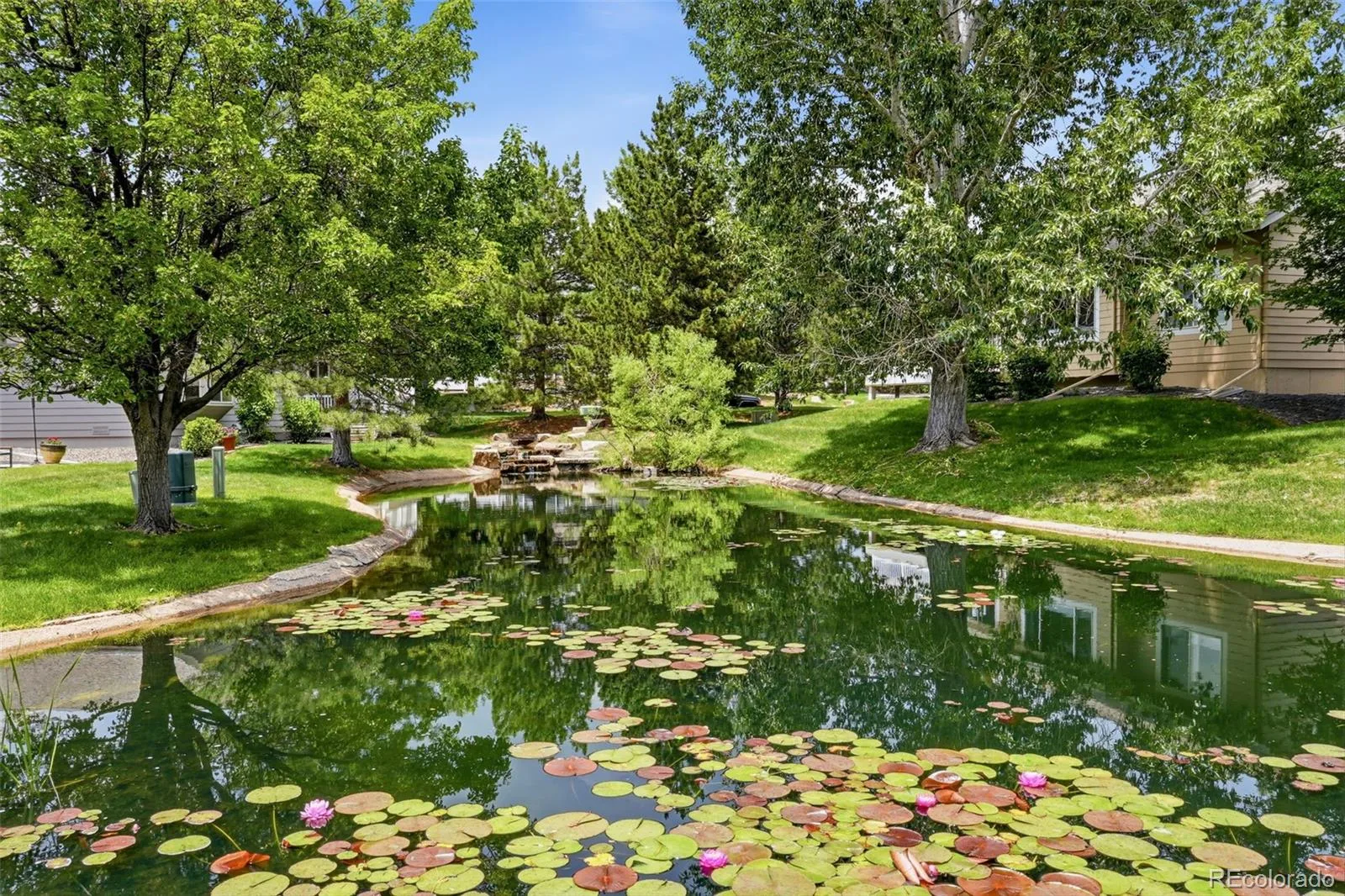 13679 W 62nd Drive Arvada CO 80004 MLS #REC4461097 06092026163518 1600 2