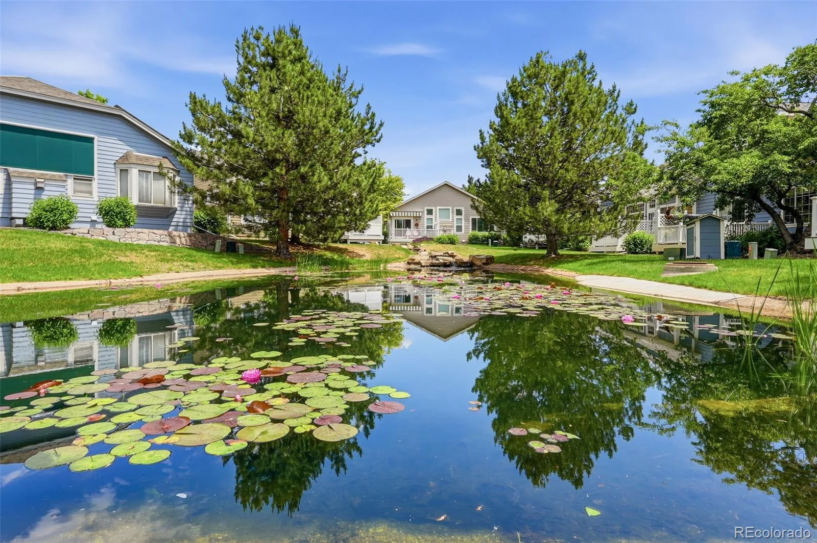 13679 W 62nd Drive Arvada CO 80004 MLS #REC4461097 06092026163518 1600 42
