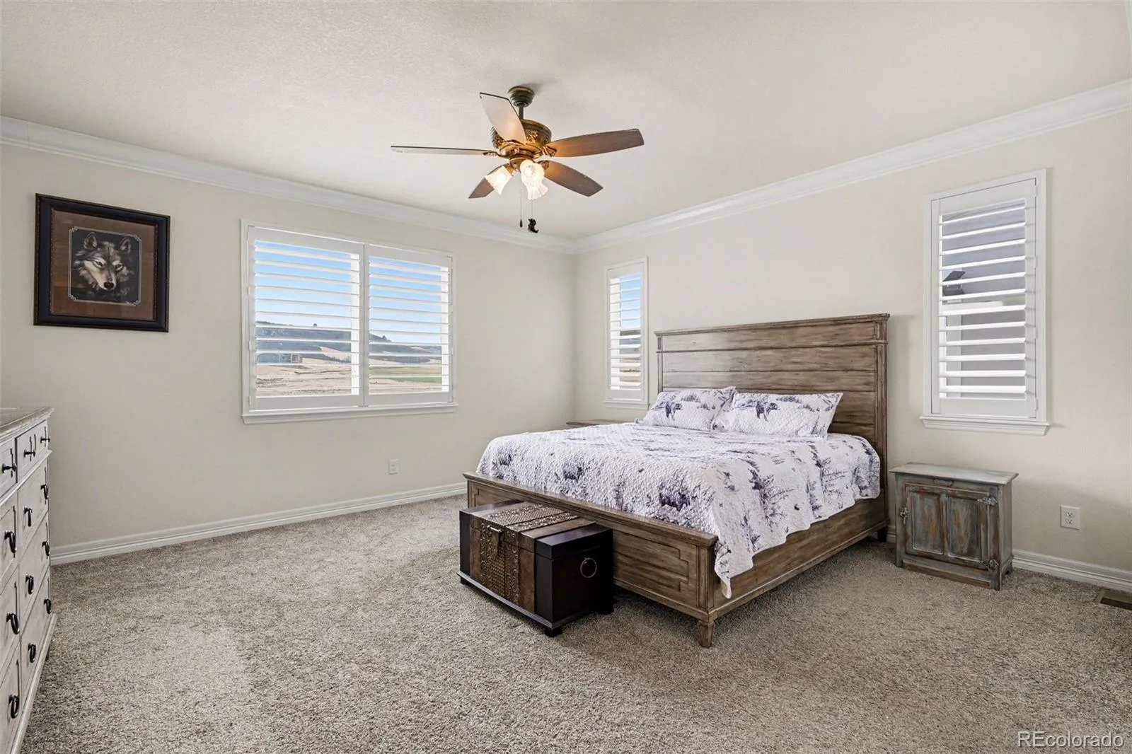 6142 Leilani Lane Castle Rock CO 80108 MLS #REC4464483 05132026232722 1600 9